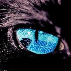 Meet your Posher, Dillon